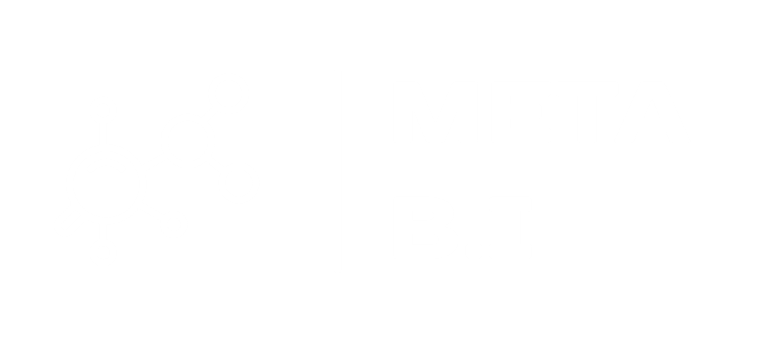 Meta BI
